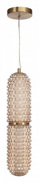 Подвесной светильник ST-Luce SAGUARO SL6144.303.01 в Еманжелинске - emanzhelinsk.ok-mebel.com | фото 3