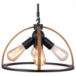 Подвесной светильник TopLight Jasmin TL1179H-04BK в Еманжелинске - emanzhelinsk.ok-mebel.com | фото