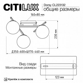Потолочная люстра Citilux Dorsy CL223132 в Еманжелинске - emanzhelinsk.ok-mebel.com | фото 12