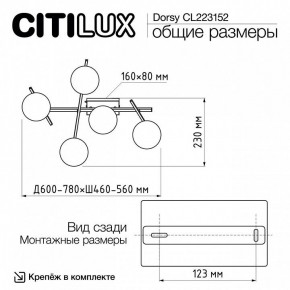 Потолочная люстра Citilux Dorsy CL223152 в Еманжелинске - emanzhelinsk.ok-mebel.com | фото 10
