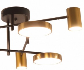 Потолочная люстра Kink Light Рапис 07645-6D,19(20) в Еманжелинске - emanzhelinsk.ok-mebel.com | фото 2