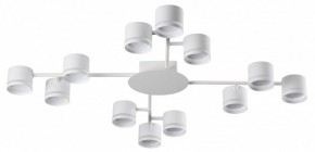 Потолочная люстра Lumion Gareta 8235/12C в Еманжелинске - emanzhelinsk.ok-mebel.com | фото