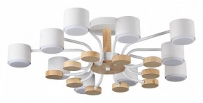 Потолочная люстра Lumion Rondo 8196/10C в Еманжелинске - emanzhelinsk.ok-mebel.com | фото