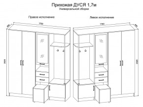 Прихожая Дуся 1.7 УНИ (Дуб Бунратти/Белый Бриллиант) в Еманжелинске - emanzhelinsk.ok-mebel.com | фото 2