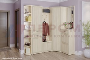 Прихожая Карина композиция 5 (Ясень Асахи) в Еманжелинске - emanzhelinsk.ok-mebel.com | фото