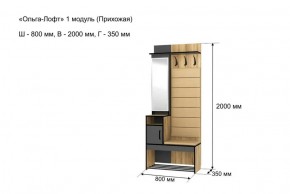 ОЛЬГА-ЛОФТ 1 Прихожая в Еманжелинске - emanzhelinsk.ok-mebel.com | фото 4