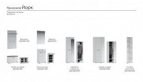 Прихожая Йорк (модульная) в Еманжелинске - emanzhelinsk.ok-mebel.com | фото 2