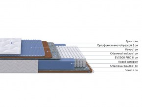 PROxSON Матрас Active Duo M/F (Ткань Трикотаж Эко) 160x190 в Еманжелинске - emanzhelinsk.ok-mebel.com | фото 2