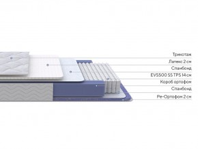 PROxSON Матрас Active Duo S/F (Ткань Трикотаж Эко) 160x190 в Еманжелинске - emanzhelinsk.ok-mebel.com | фото 3