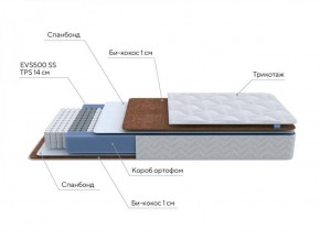 PROxSON Матрас Active F Roll (Ткань Трикотаж Эко) 120x200 в Еманжелинске - emanzhelinsk.ok-mebel.com | фото 6