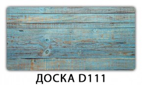 Раздвижной СТ Бриз орхидея R041 Доска D111 в Еманжелинске - emanzhelinsk.ok-mebel.com | фото 12