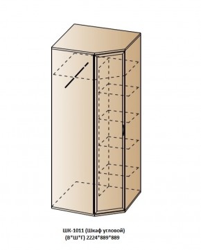 ШК-1011 (Шкаф угловой) в Еманжелинске - emanzhelinsk.ok-mebel.com | фото