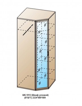 ШК-1012 (Шкаф угловой) в Еманжелинске - emanzhelinsk.ok-mebel.com | фото