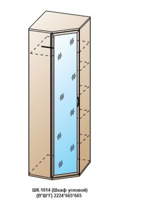 ШК-1014 (Шкаф угловой) в Еманжелинске - emanzhelinsk.ok-mebel.com | фото