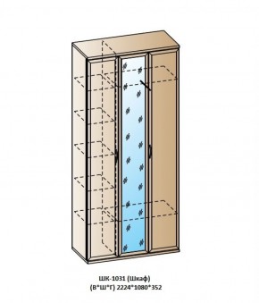 ШК-1031 (Шкаф) в Еманжелинске - emanzhelinsk.ok-mebel.com | фото