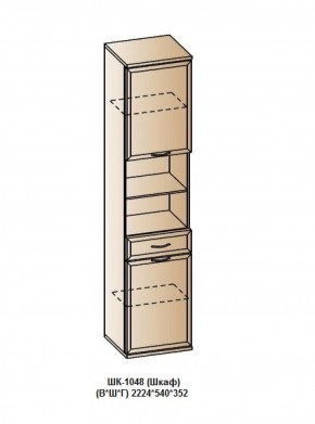 ШК-1048 (Шкаф) в Еманжелинске - emanzhelinsk.ok-mebel.com | фото