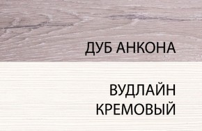 Шкаф 1DZ, OLIVIA, цвет вудлайн крем/дуб анкона в Еманжелинске - emanzhelinsk.ok-mebel.com | фото 3