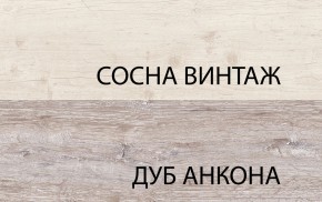 Шкаф 2D1S, MONAKO, цвет Сосна винтаж/дуб анкона в Еманжелинске - emanzhelinsk.ok-mebel.com | фото