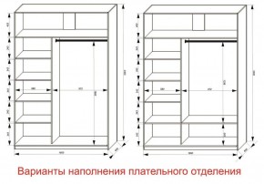 Шкаф-купе 1600 серии SOFT D1+D3+B2+PL1 (2 ящика+1штанга) профиль «Графит» в Еманжелинске - emanzhelinsk.ok-mebel.com | фото 6