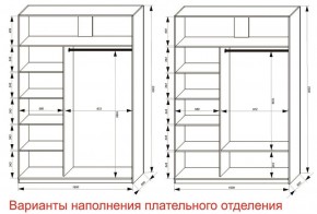 Шкаф-купе 1600 серии SOFT D6+D4+B2+PL2 (2 ящика+1штанга+1 полка) профиль «Капучино» в Еманжелинске - emanzhelinsk.ok-mebel.com | фото 8