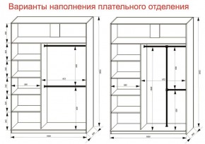 Шкаф-купе 1600 серии SOFT D6+D4+B2+PL2 (2 ящика+1штанга+1 полка) профиль «Капучино» в Еманжелинске - emanzhelinsk.ok-mebel.com | фото 9