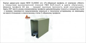 Шкаф-купе 1700 серии NEW CLASSIC K3+K3+B2+PL1 (2 ящика+1 штанга) профиль «Капучино» в Еманжелинске - emanzhelinsk.ok-mebel.com | фото 17