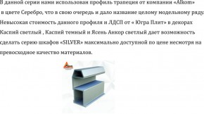 Шкаф-купе 2250 серии SILVER S3+S1+S3Z B22+PL2 (по 2 ящика лев/прав+1штанга+1 полка) профиль «Серебро» в Еманжелинске - emanzhelinsk.ok-mebel.com | фото 4
