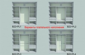 Шкаф-купе 2250 серии SILVER S3+S1+S3Z B22+PL2 (по 2 ящика лев/прав+1штанга+1 полка) профиль «Серебро» в Еманжелинске - emanzhelinsk.ok-mebel.com | фото 6