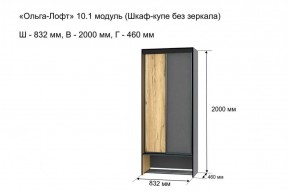 Шкаф купе без зеркала "Ольга-Лофт 10.1" в Еманжелинске - emanzhelinsk.ok-mebel.com | фото 3