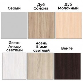 Шкаф-купе ХИТ 22-4-12/2-77 (420) в Еманжелинске - emanzhelinsk.ok-mebel.com | фото 3