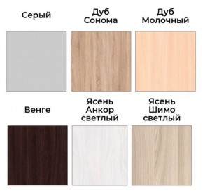 Шкаф-купе ХИТ 22-4-17-55 (420) в Еманжелинске - emanzhelinsk.ok-mebel.com | фото 3