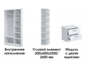 Шкаф-купе «ТАНДЕМ» 2-х дверный в белом профиле (Дверь ЛДСП+Z) 1800/h2200 в Еманжелинске - emanzhelinsk.ok-mebel.com | фото 3