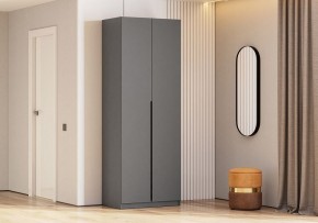 Шкаф платяной Даиго в Еманжелинске - emanzhelinsk.ok-mebel.com | фото 3