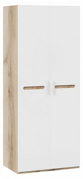 Шкаф платяной Фьюжн ТД-260.07.02 в Еманжелинске - emanzhelinsk.ok-mebel.com | фото