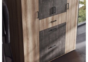 Шкаф платяной Паркинс в Еманжелинске - emanzhelinsk.ok-mebel.com | фото 3