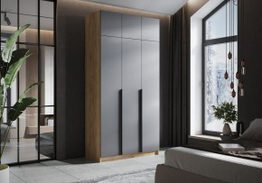 Шкаф платяной Широн в Еманжелинске - emanzhelinsk.ok-mebel.com | фото 4
