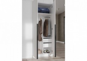 Шкаф платяной Широн в Еманжелинске - emanzhelinsk.ok-mebel.com | фото 3