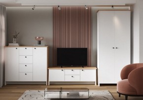 Шкаф платяной Теодора в Еманжелинске - emanzhelinsk.ok-mebel.com | фото 4