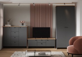 Шкаф платяной Теодора в Еманжелинске - emanzhelinsk.ok-mebel.com | фото 3