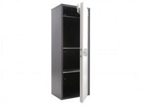Шкаф SL-125T-EL в Еманжелинске - emanzhelinsk.ok-mebel.com | фото 3