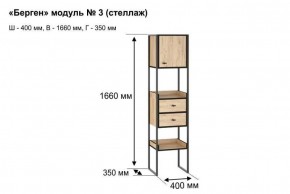 Стеллаж "Берген 3" в Еманжелинске - emanzhelinsk.ok-mebel.com | фото 8