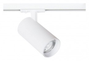 Светильник на штанге Arte Lamp Bene A1937PL-1WH в Еманжелинске - emanzhelinsk.ok-mebel.com | фото