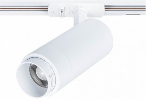 Светильник на штанге Arte Lamp Merak A3530PL-1WH в Еманжелинске - emanzhelinsk.ok-mebel.com | фото