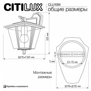 Светильник на штанге Citilux FORTS CLU10W в Еманжелинске - emanzhelinsk.ok-mebel.com | фото 9