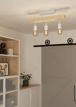 Светильник на штанге Eglo TOWNSHEND 44082 в Еманжелинске - emanzhelinsk.ok-mebel.com | фото 2