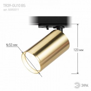 Светильник на штанге Эра  TR39-GU10 BS в Еманжелинске - emanzhelinsk.ok-mebel.com | фото 6