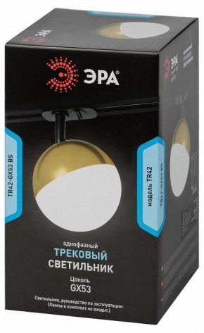 Светильник на штанге Эра  TR42-GX53 BS в Еманжелинске - emanzhelinsk.ok-mebel.com | фото 6