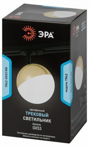 Светильник на штанге Эра  TR42-GX53 MG в Еманжелинске - emanzhelinsk.ok-mebel.com | фото 6