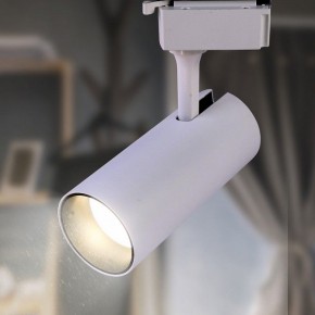 Светильник на штанге Эра  TR5-10 COB WH в Еманжелинске - emanzhelinsk.ok-mebel.com | фото 3
