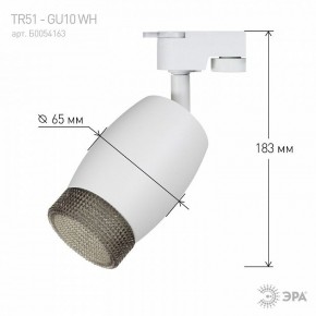 Светильник на штанге Эра  TR51 - GU10 WH в Еманжелинске - emanzhelinsk.ok-mebel.com | фото 4